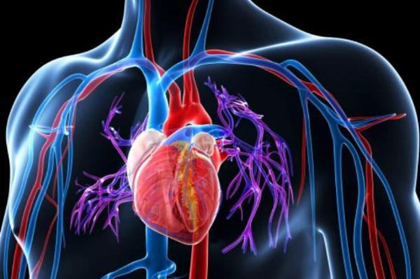 SLIKA-2 (1) - Poliklinika Medikol