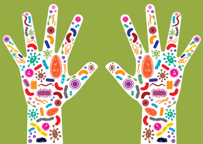 ruke-e1569582339295 - Poliklinika Medikol