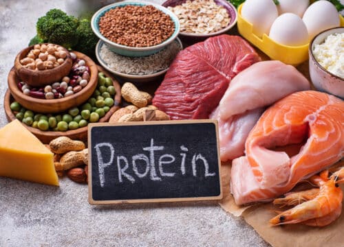 Kako proteinska dijeta utječe na zdravlje bubrega?