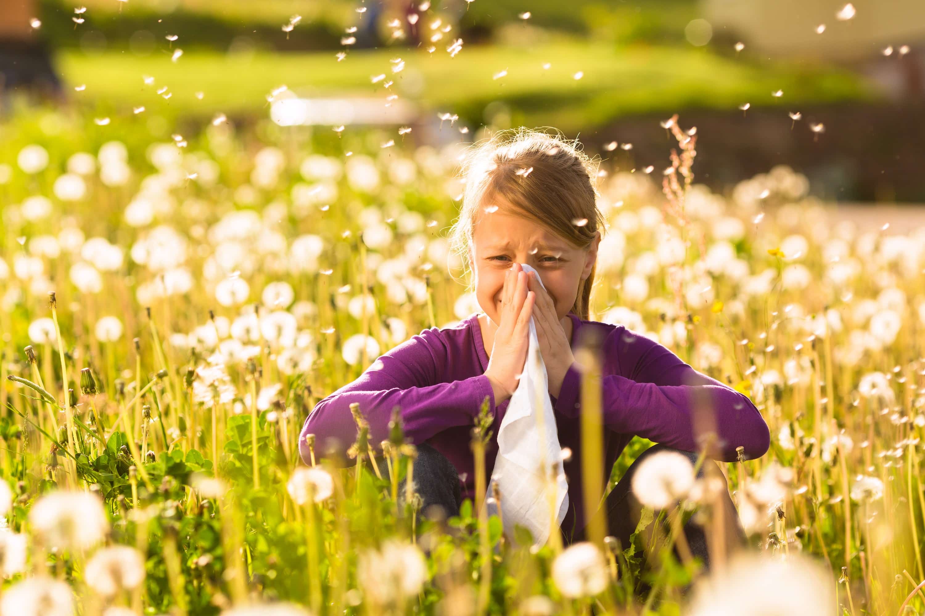 Girl sitting in meadow with dandelions and has hay fever or allergy - Poliklinika Medikol Inhalatorni alergeni - testiranje na alergije