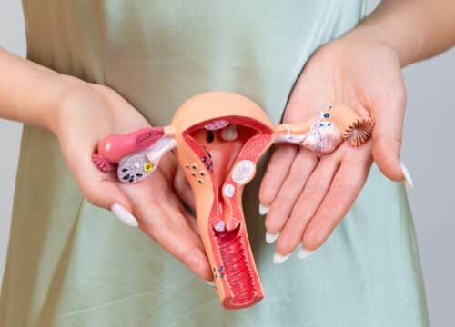 ginekološka ambulanta u Osijeku, pregled ginekologa i papa test