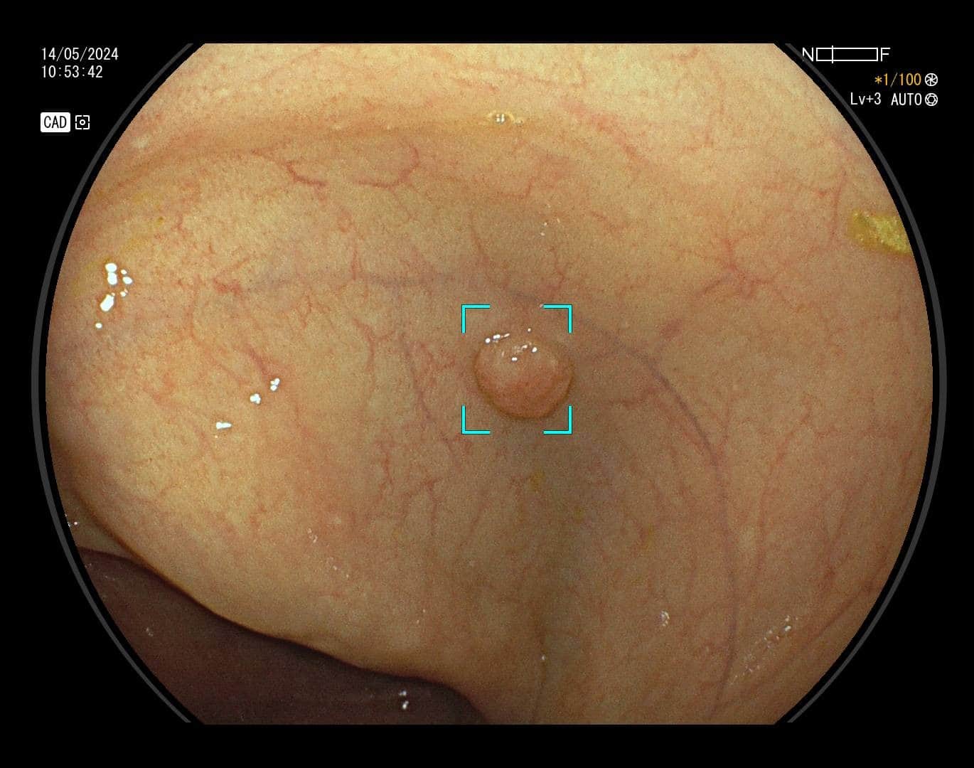 Slika 5 - Poliklinika Medikol