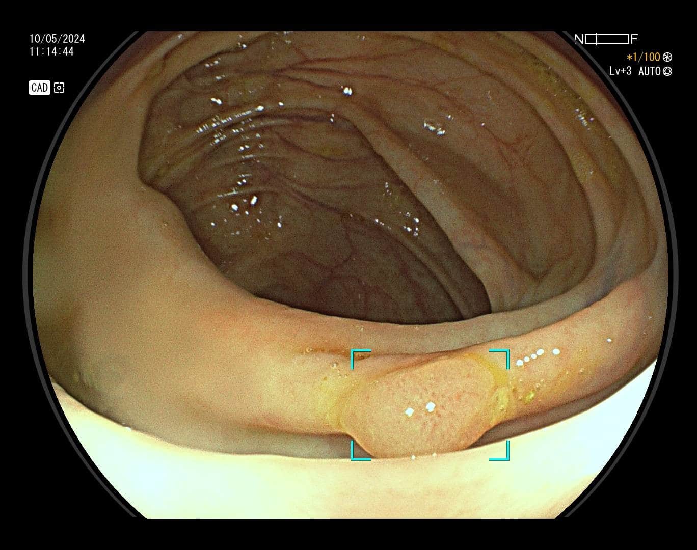 Slika 6 - Poliklinika Medikol