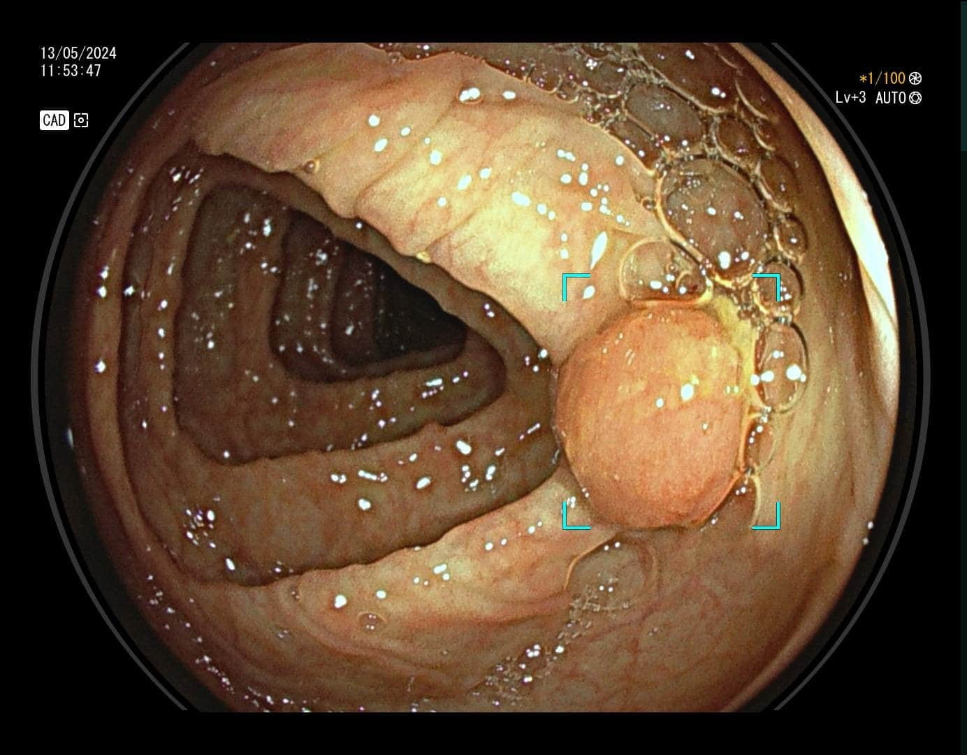 Slika 7 - Poliklinika Medikol