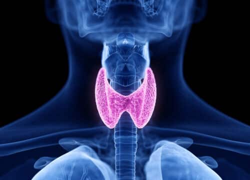 Zašto su važni preventivni pregledi štitnjače?